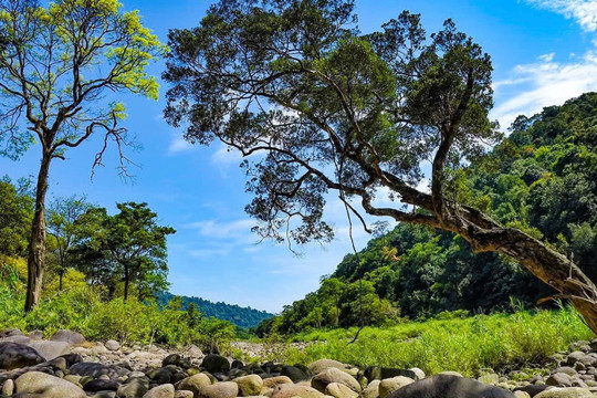 Thời tiết Hà Tĩnh trong những ngày tới 