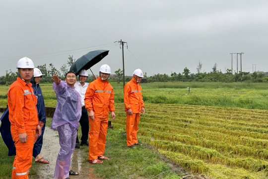 Công ty Điện lực Hà Tĩnh khẩn trương khắc phục ảnh hưởng lưới điện sau mưa giông, sét