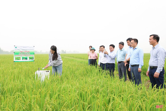 Hà Tĩnh sẽ áp dụng kỹ thuật tưới ngập - khô xen kẽ thêm 5.400ha