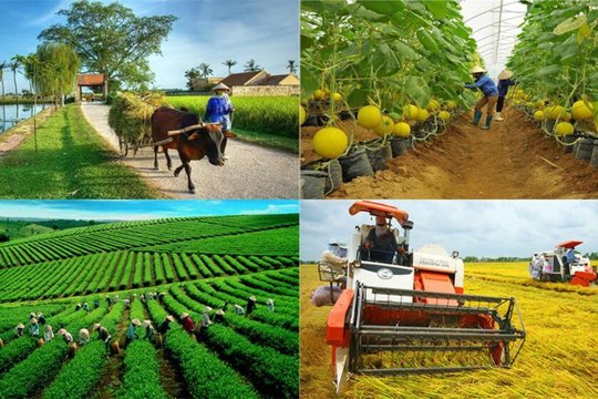 Quy định mới về đăng ký tổ hợp tác, hợp tác xã, liên hiệp hợp tác xã