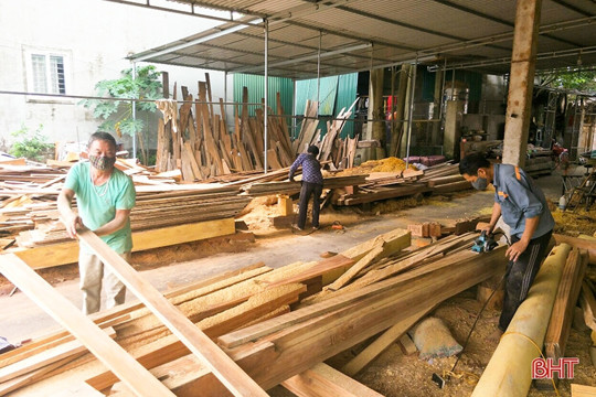 Thông báo tiếp nhận gỗ tịch thu phục vụ xây dựng công trình công cộng