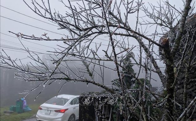 Các địa phương tiếp tục chủ động ứng phó với thời tiết nguy hiểm