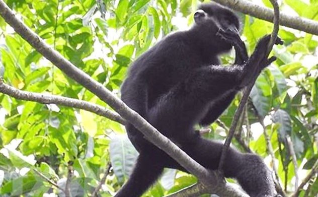 Tăng cường phòng, chống tội phạm về đa dạng sinh học đến năm 2030, tầm nhìn đến năm 2050 