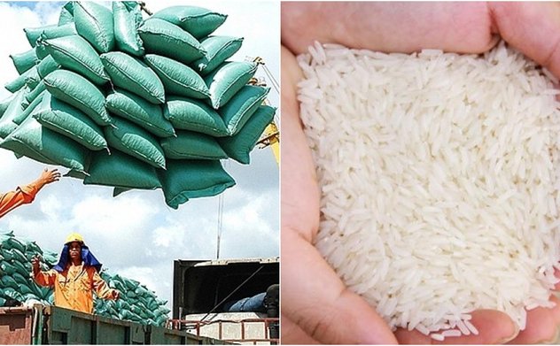 Giá gạo xuất khẩu Việt Nam lập kỷ lục cao nhất trong 10 năm qua