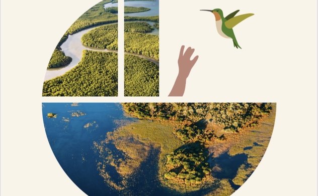 Hà Tĩnh: Hưởng ứng Ngày Đất ngập nước Thế giới năm 2024 