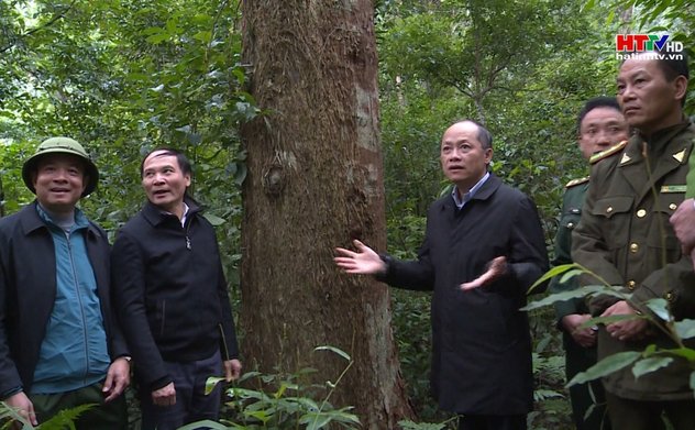 Phó Chủ tịch UBND tỉnh kiểm tra công tác bảo vệ rừng