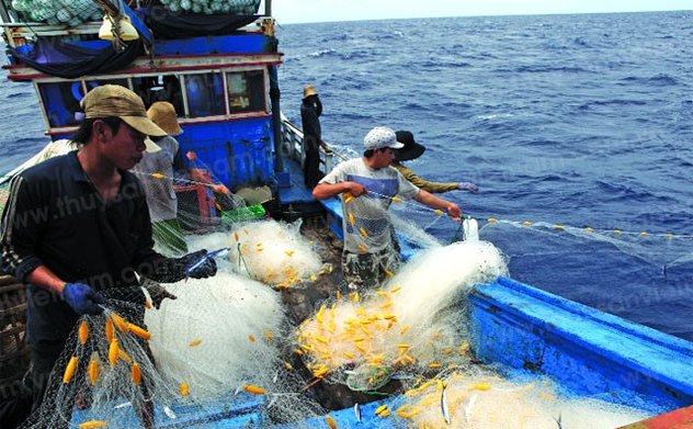 Khắc phục các tồn tại trong công tác chống khai thác hải sản bất hợp pháp trên địa bàn tỉnh 