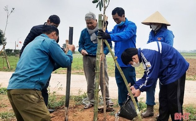 Hà Tĩnh sẽ trồng gần 1,7 triệu cây xanh dịp xuân Giáp Thìn