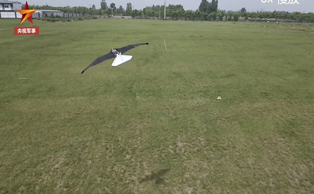 Trung Quốc phát triển thiết bị bay giống chim