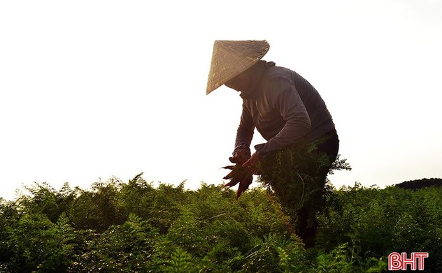 Dự báo thời tiết Hà Tĩnh: Nhiệt độ tăng dần, có nơi trên 30 độ C