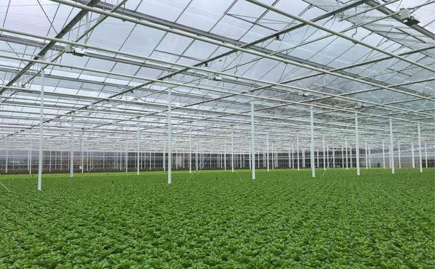 Cách Hà Lan ứng phó với tình trạng biến đổi khí hậu