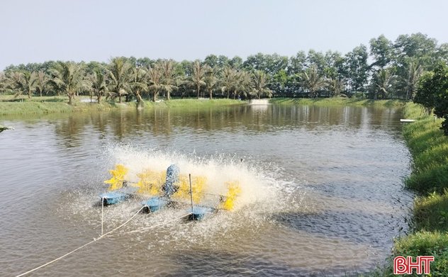 Hà Tĩnh "khởi động" cho mục tiêu 17.400 tấn thủy sản nuôi trồng 