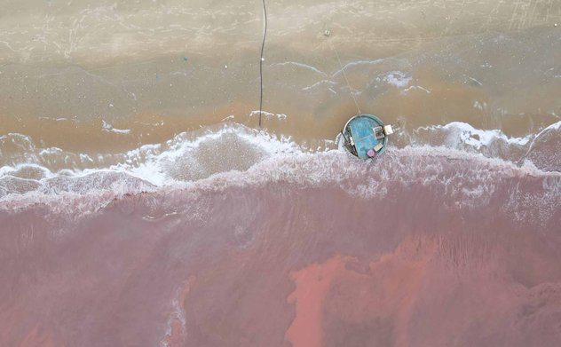 Nước biển ở Hà Tĩnh có màu đỏ là do tảo nở hoa