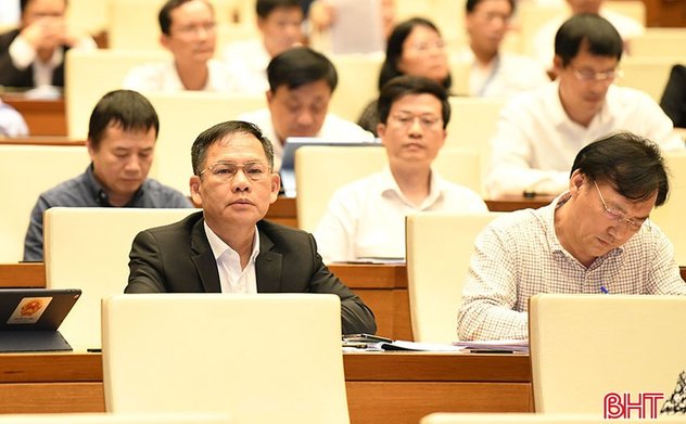 Triển khai nhiệm vụ các đoàn ĐBQH tỉnh, thành phố