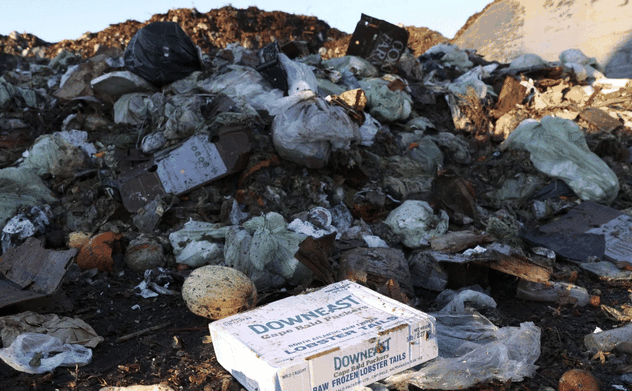 Hơn 1 tỷ bữa ăn bị bỏ đi mỗi ngày khi hàng trăm triệu người đối mặt với cái đói