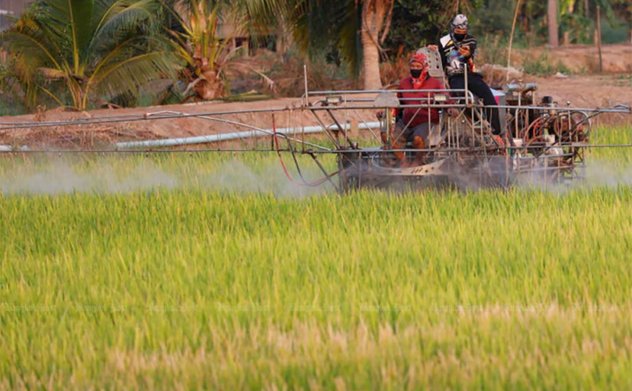 Thái Lan chuyển đổi phương thức canh tác lúa ứng phó biến đổi khí hậu