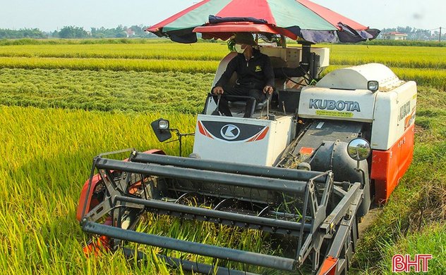 Hà Tĩnh thu hoạch hơn 7.700 ha lúa xuân