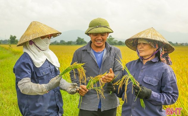 Hà Tĩnh thắng lợi trọn vẹn trong vụ lúa xuân 2024 