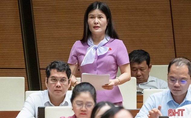 Đại biểu Quốc hội Hà Tĩnh: Cần linh hoạt trong quy định tham gia bảo hiểm xã hội 