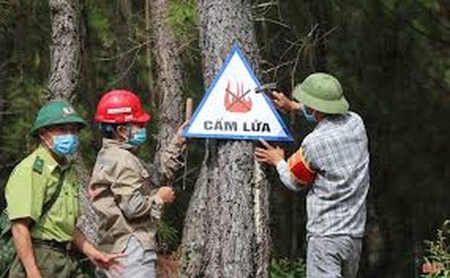 Tăng cường công tác bảo vệ rừng, PCCCR và PCTT&TKCN trên địa bàn tỉnh năm 2024