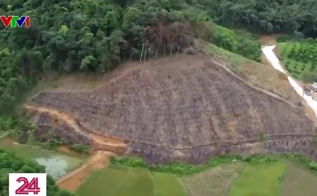 Phương thức ''tờ giấy trắng'' và những lỗ hổng trong quản lý rừng phòng hộ 