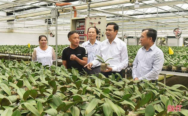 Hà Tĩnh quyết tâm cải thiện bộ chỉ số đổi mới sáng tạo