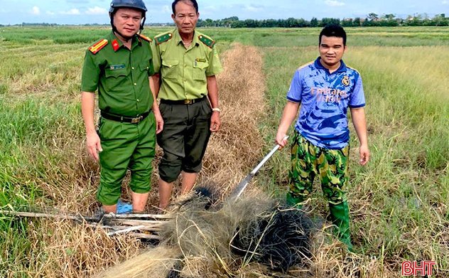 TP Hà Tĩnh kiên quyết xử lý nạn săn bắt chim trời, bảo vệ hệ sinh thái