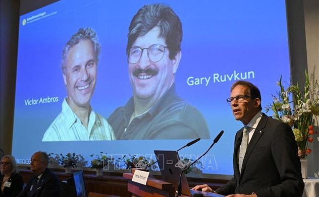 Giải Nobel Y sinh 2024 vinh danh phát minh RNA