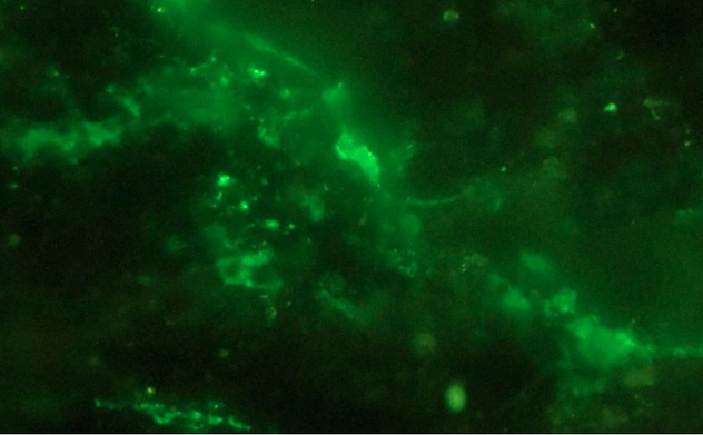 Phát hiện bất ngờ bên trong tảng đá 2 tỷ năm vừa nứt ra trên Trái Đất