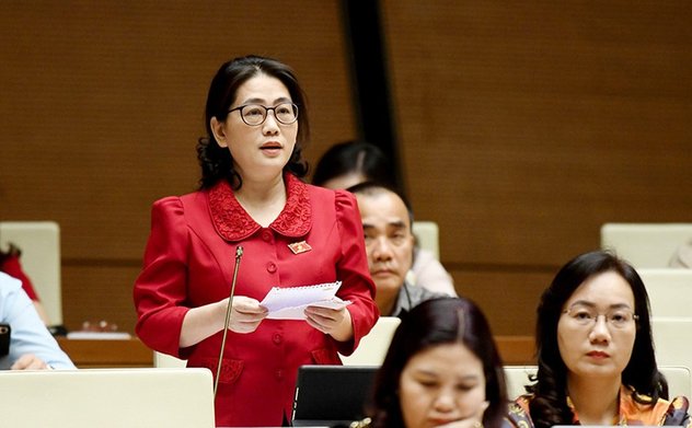 ĐBQH Hà Tĩnh thảo luận về dự thảo Luật Tư pháp người chưa thành niên 