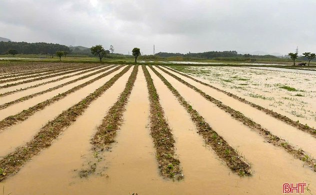 Hà Tĩnh tiếp tục được dự báo xuất hiện mưa lớn 