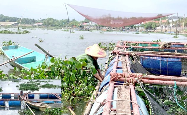 Hạn chế sử dụng thuốc kháng sinh, hóa chất và dịch bệnh trong nuôi trồng thủy sản 