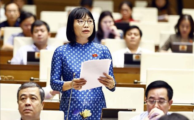 Kỳ họp thứ 8, Quốc hội khóa XV: Tránh việc tu bổ trở thành 'làm mới' di tích 