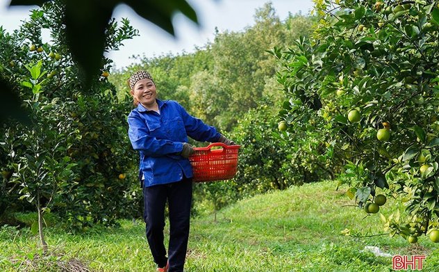 Đợt mưa lớn ở Hà Tĩnh khi nào kết thúc?