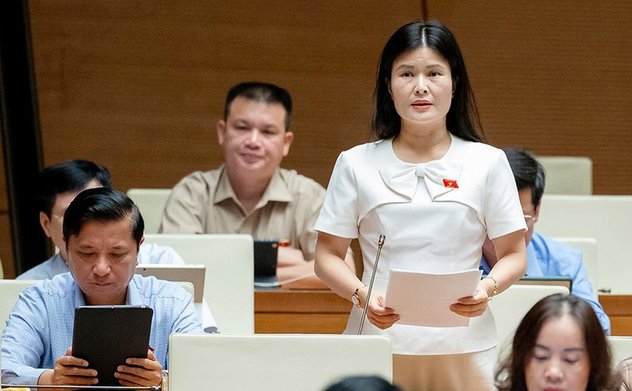 ĐBQH Hà Tĩnh góp ý Dự án Luật sửa đổi, bổ sung một số điều của các luật lĩnh vực tài chính