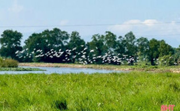 Thời tiết Hà Tĩnh 6 ngày tới thế nào?