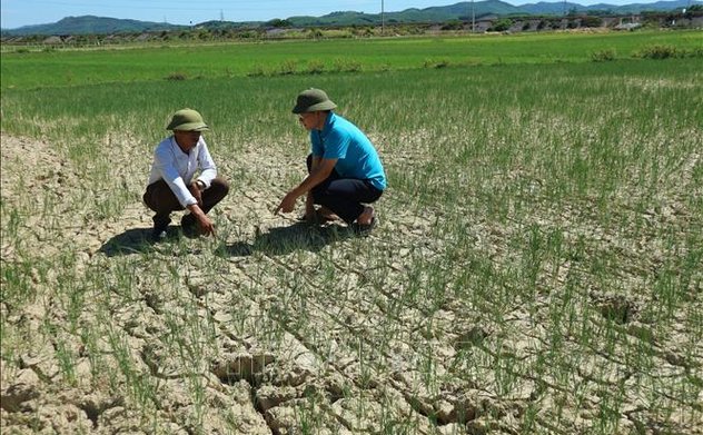 Công điện của UBND tỉnh về chủ động phòng chống hạn hán, thiếu nước