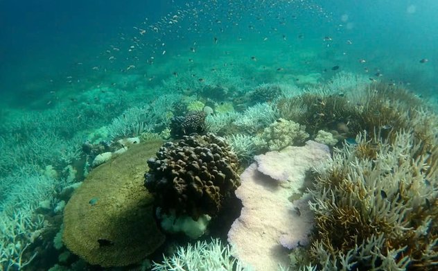 Nhiệt độ mặt nước biển cao kỷ lục ở Australia