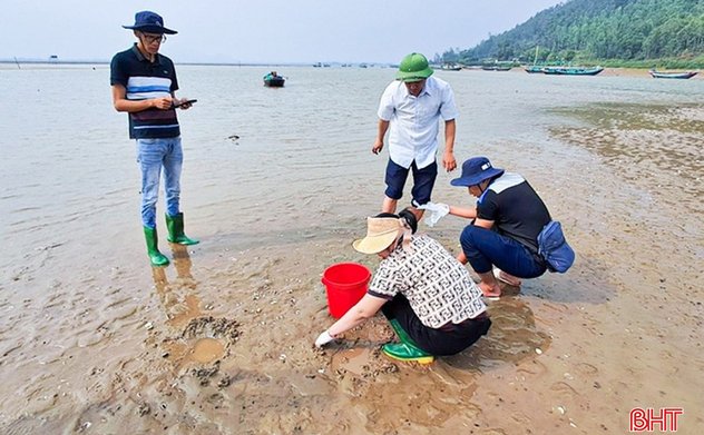 Ngành chuyên môn Hà Tĩnh cảnh báo nguy cơ hàu, ngao chết hàng loạt