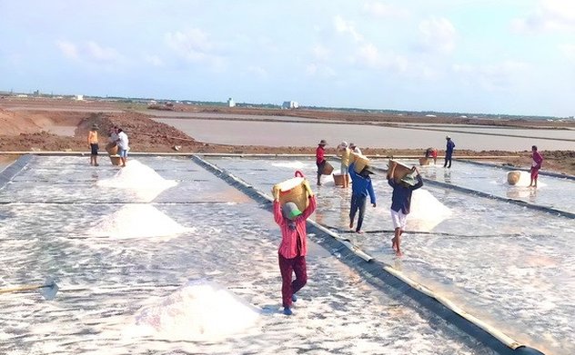 Hướng tới Festival nghề Muối Việt Nam - Bạc Liêu năm 2025 