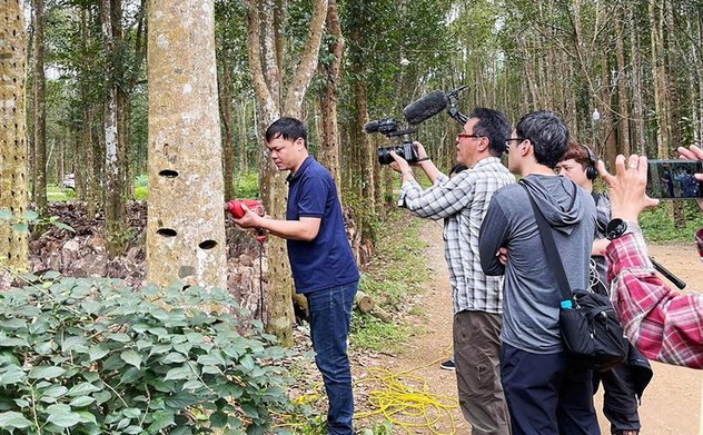 Hãng truyền hình nổi tiếng Nhật Bản làm phim về cây dó trầm Hà Tĩnh