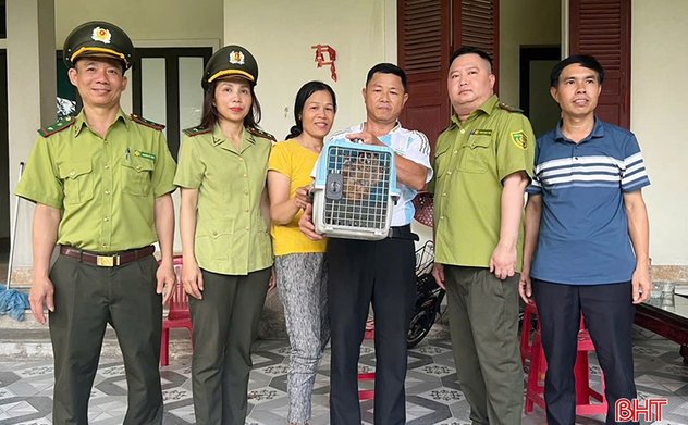 Giao nộp cu li quý hiếm cho cơ quan kiểm lâm