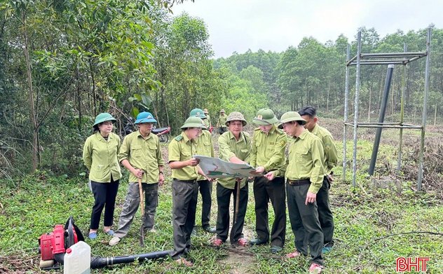 Giữ màu xanh cho những cánh rừng 