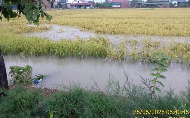 Hà Tĩnh ban hành công điện khẩn ứng phó, khắc phục thiệt hại do mưa lũ trên địa bàn tỉnh 