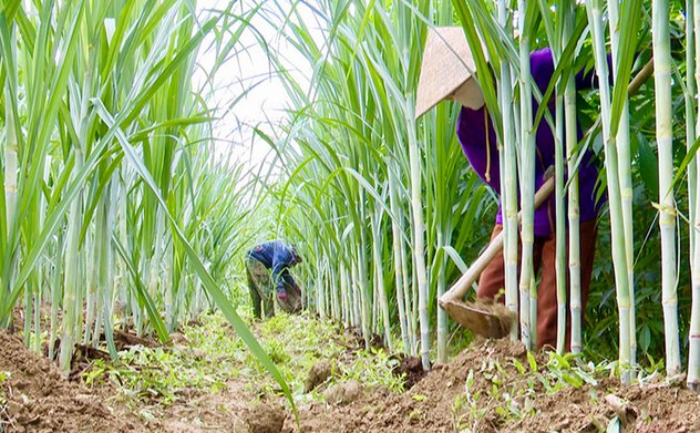 Những ‘cánh chim’ đưa nông thôn mới Hà Tĩnh vươn cao