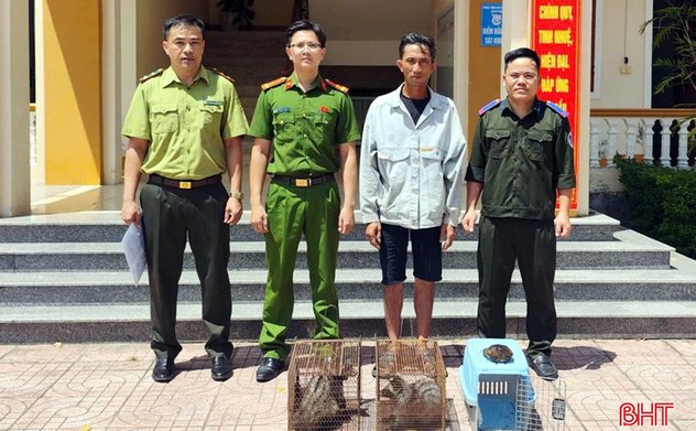 Bàn giao nhiều động vật quý hiếm cho Vườn Quốc gia Vũ Quang