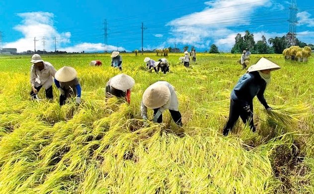 Sắp xếp, tinh giản hơn 35.000 cán bộ khuyến nông cả nước