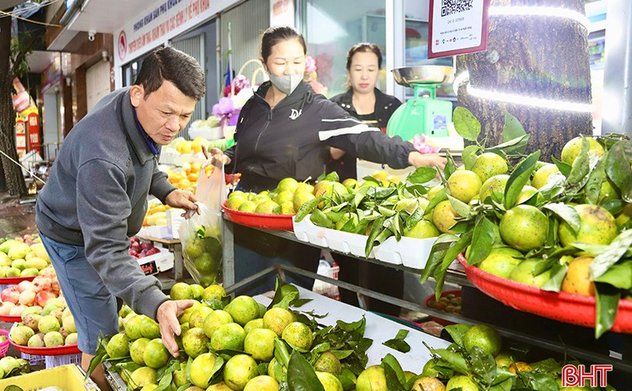 Cam chanh thu hoạch sớm, giá cao 