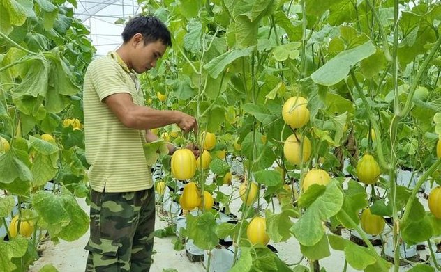 Hà Tĩnh điều chỉnh chính sách hỗ trợ phát triển kinh tế tập thể, hợp tác xã đến năm 2025