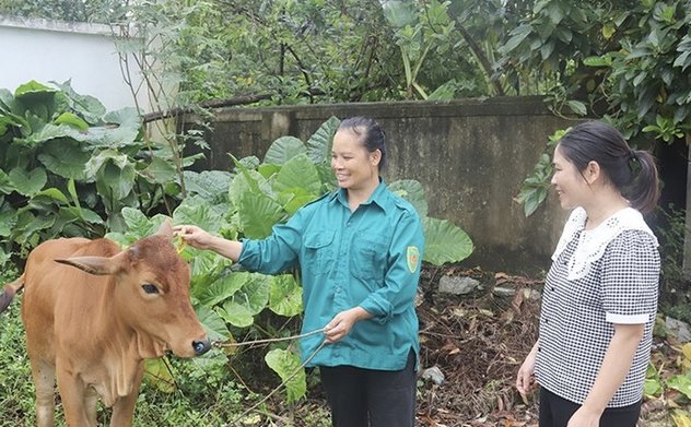 Đa dạng sinh kế giúp người dân Tứ Mỹ thêm cơ hội thoát nghèo bền vững 